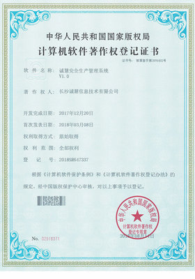 构筑数字世界的坚实防线 我们的网络与信息安全软件开发之路