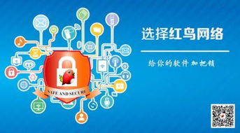 抢票热潮下的技术革新与安全风险 红鸟网络定制软件开发探析